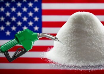 Tarifaço impõe custo de mais de US$ 100 milhões às usinas de açúcar e etanol