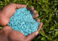 Tecnologia japonesa será usada em produção de fertilizantes ecológicos em Goiás