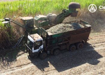 Clealco reporta lucro líquido pela quinta safra consecutiva com resultado de r$ 170 milhões em 24/25 e acumulado que supera r$ 1,1 bi