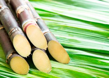 ANP divulga ‘lista suja’ com 33 distribuidoras inadimplentes com o RenovaBio