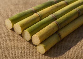 Setor bioenergético discute integração entre agrícola, indústria e suprimentos em evento técnico em Sertãozinho