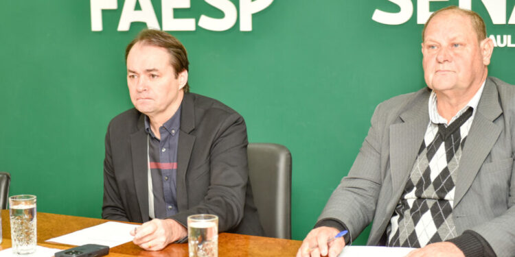 Comissão de cana-de-açúcar da Faesp avalia tendências de produção e preços para 2025/26