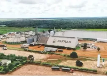 Grupo Safras troca de comando em meio à crise e busca renegociar dívidas