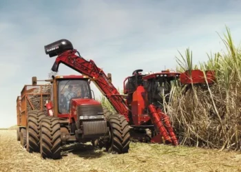 Lucro líquido da São Martinho caiu 40,2% no primeiro trimestre de 2025/26