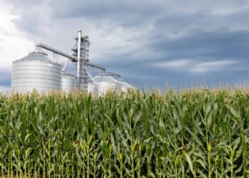 Novas regras da ANP ampliam cobertura e exigências para produtores de biocombustíveis