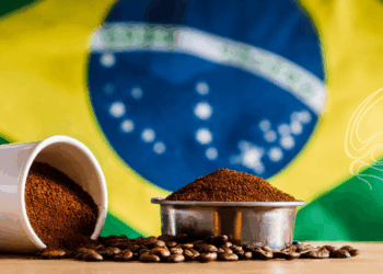 Além do agro: como as tarifas dos EUA expõem a fragilidade e a dependência do Brasil