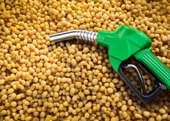 Salto na demanda por biodiesel desafia setor a expandir processamento de soja