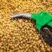 Salto na demanda por biodiesel desafia setor a expandir processamento de soja