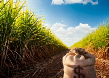 Eike Batista retoma defesa da “supercana” e diz que BNDES pode ser potencial parceiro