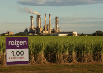 Raízen: da selva da usina à selva da África: Coincidências que o mercado dificilmente ignora