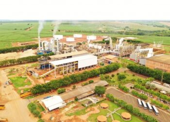 Com recorde na moagem, usina Lins eleva lucro em 81,3% na safra 2024/25