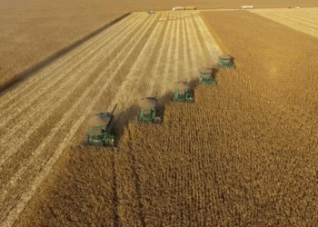 Matopiba recebe investimentos em etanol de milho; desafio é garantir oferta do grão