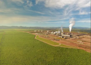 Jalles tem queda na moagem de cana, mas receita e produção de açúcar disparam no primeiro trimestre