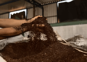 Borra das cápsulas de café é transformada em biometano