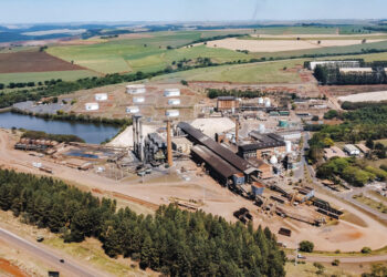 São Martinho lidera altas do Ibovespa após Citi elevar recomendação e preço-alvo