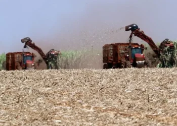 Copersucar foi a maior beneficiada por venda de ativos da Raízen