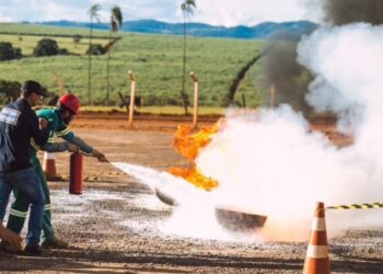 Seca e incêndios prejudicam safra de cana-de-açúcar no Vale do São Patrício, em Goiás