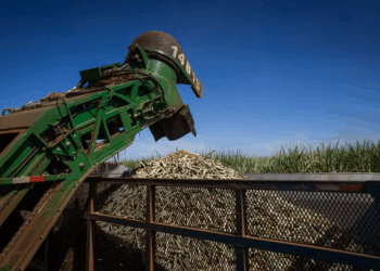 Usinas citadas em ação contra o PCC processam 12,7 milhões de toneladas de cana, diz RPA