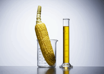 Como o etanol de milho conquistou 20% do mercado, e por que ele atrai a Petrobras