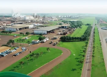 São Martinho tem lucro líquido de R$ 62,829 milhões no 1º tri da safra 2025/26