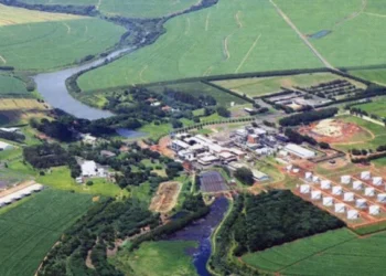 S&P eleva rating da Zilor para ‘brA+’ após fortalecimento da estrutura operaciona