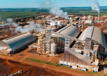 São Martinho investe mais de R$ 1 bilhão em etanol de milho – mas sem abandonar a cana