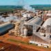 São Martinho investe mais de R$ 1 bilhão em etanol de milho – mas sem abandonar a cana