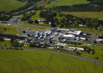 Zilor registra alta de 27,6% na receita e mais que triplica lucro no 1T da safra 2025/26