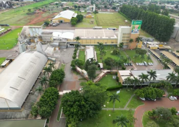 Após aporte de US$ 200 mi, Caramuru projeta receita de R$ 8 bi em 2025 e foca em biocombustíveis