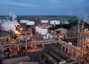 ANP identifica falhas que levaram funcionário da usina Lins à morte