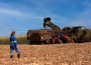 Tereos integra iniciativa para descarbonização do agronegócio em parceria com CEBDS