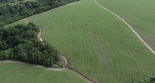 Mapa publica lista dos 1.363 municípios elegíveis à renegociação de dívidas rurais