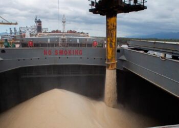 Complexo sucroalcooleiro lidera exportações do agronegócio paulista em 2025