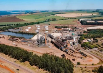 Gigante da cana, São Martinho investe mais de R$ 1 bilhão em etanol de milho; veja onde