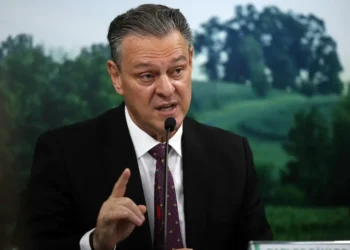 Na COP30, Mapa quer captar recursos para recuperação de áreas degradadas