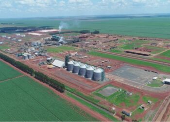 “Temos a pretensão de abrir capital”, diz CEO da CerradinhoBio