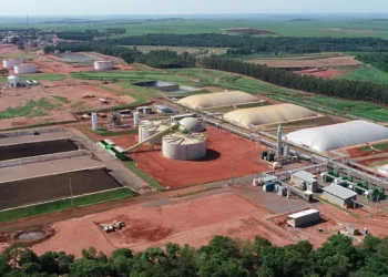 Cocal busca produzir combustível sustentável com hidrogênio verde da cana