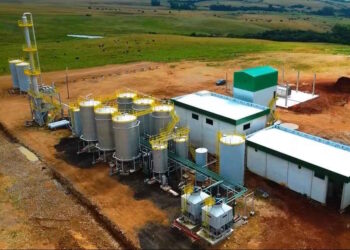 Usina de etanol de trigo recebe licença de operação no Rio Grande do Sul