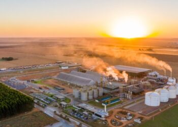 BNDES notifica FS devido a sócio multado por plantio em área indígena