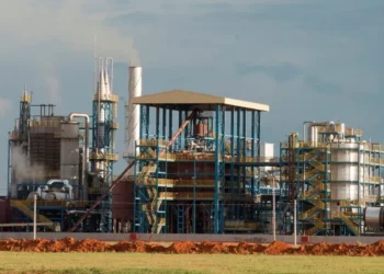 Lucro líquido da Caramuru Alimentos tem alta de 202,4% no terceiro trimestre