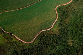 Com investimento japonês, Ministério da Agricultura prevê recuperação de 3 milhões de ha