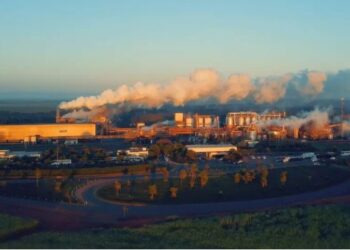 Cocal inicia transição para assumir usinas em Rio Brilhante e expandir atuação no MS