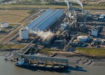 Adecoagro faz oferta de US$ 600 milhões à YPF por 50% restantes na argentina Profertil