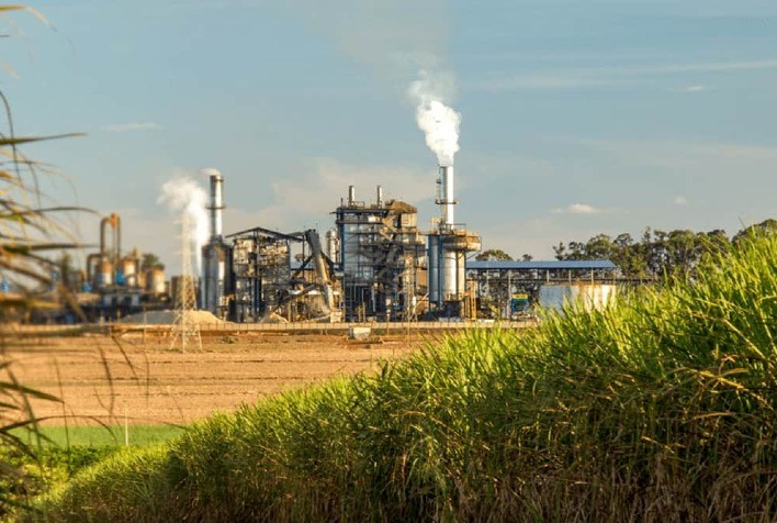 Etanol deve ganhar espaço nas usinas em 2026 diante da menor atratividade do açúcar - Visão Agro - A melhor Visão do Agronégócio