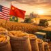 Ranking dos maiores produtores de milho do mundo na safra 2025/26