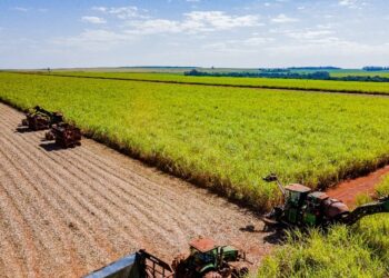 Atvos amplia parceria com a Harven Agribusiness School para capacitar 11 mil colaboradores