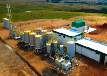 ANP autoriza operação da primeira usina de etanol de trigo do país, no RS