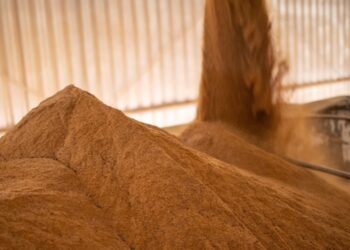 Inpasa envia primeira carga de DDG de milho brasileiro à China