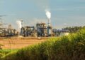 Produção de açúcar na Paraíba cai 24% na safra 2025/2026 e usinas reforçam produção de etanol