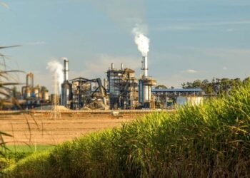 Produção de açúcar na Paraíba cai 24% na safra 2025/2026 e usinas reforçam produção de etanol